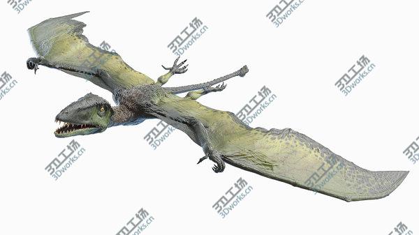 images/goods_img/20210312/Dimorphodon Animated 3D model/4.jpg